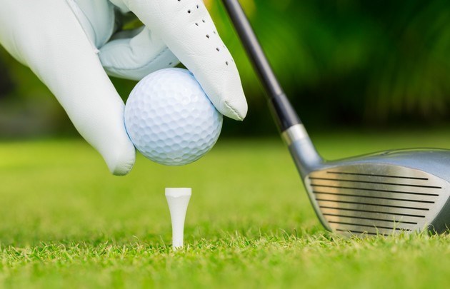 Un tournoi de golf promeut l amitié entre le Vietnam et l Allemagne