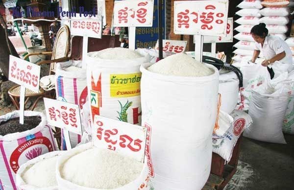 Cambodge  baisse des exportations de riz en neuf mois