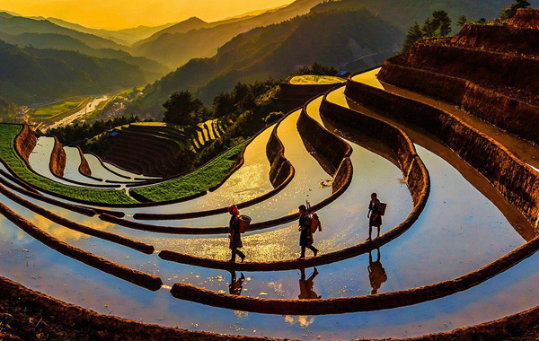 Hanoï le patrimoine vietnamien à travers 107 superbes photos