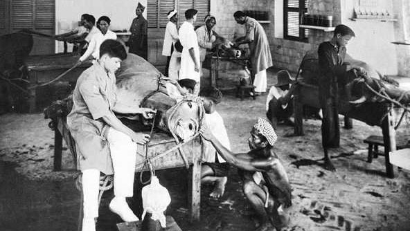 Des photos du Dr Yersin sur sa vie au Vietnam exposées en Suisse