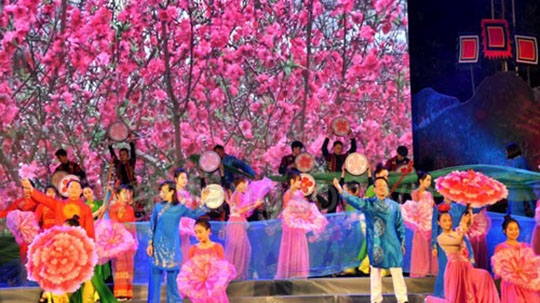 La fête des cerisiers en fleurs sera organisée à Lang Son avant la fête traditionnelle