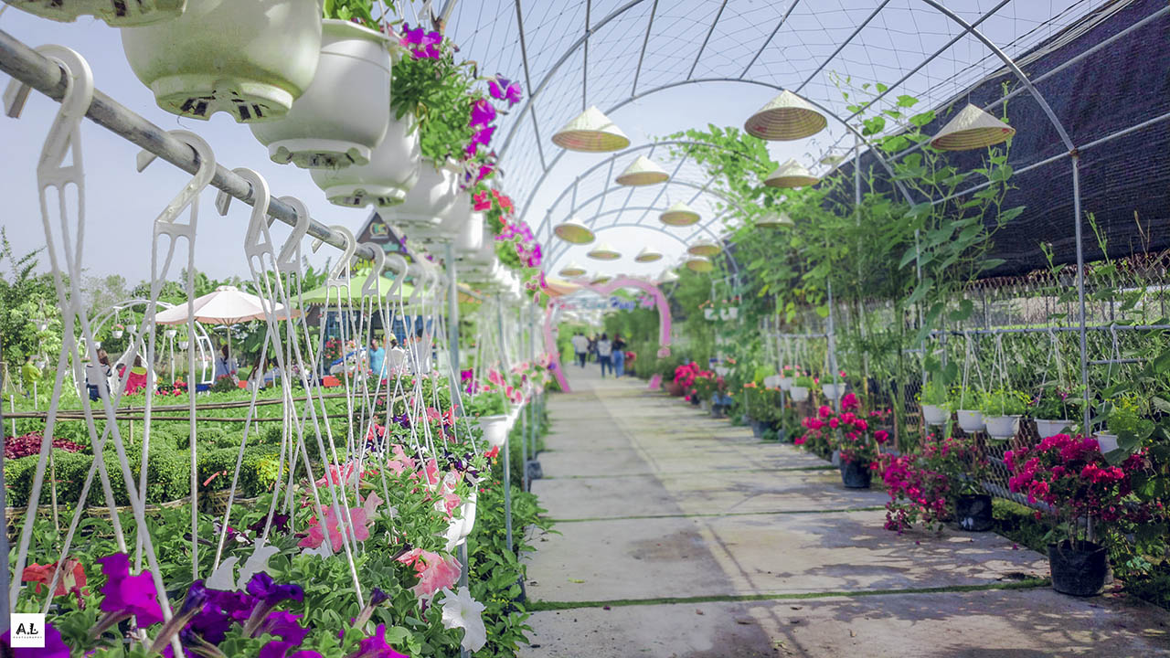 Dông Thap  De nombreuses activités attrayantes lors du Festival des fleurs printanières 2019
