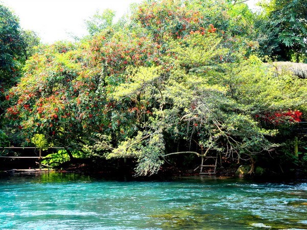 Quang Binh vise 4,3 millions de touristes en 2019
