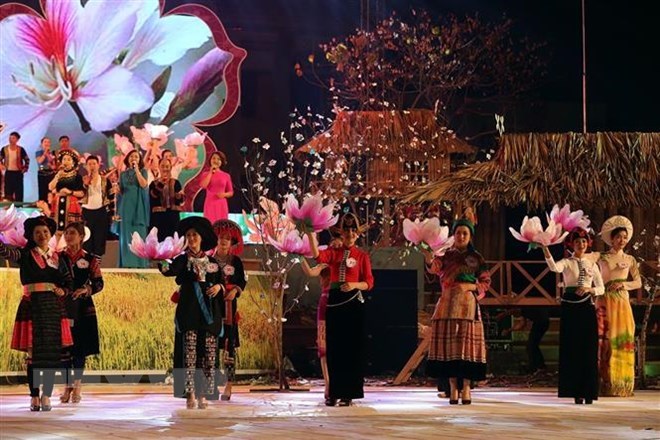 Diverses activités au festival des fleurs de bauhinie