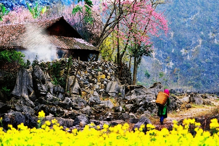 Voyagez à Ha Giang au printemps