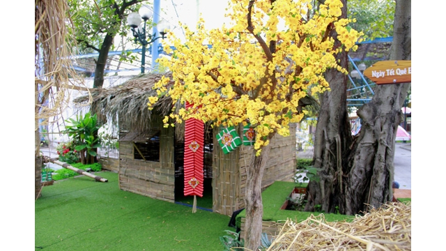 Parfums et couleurs des quatre saisons pour le Têt traditionnel à Hanoi
