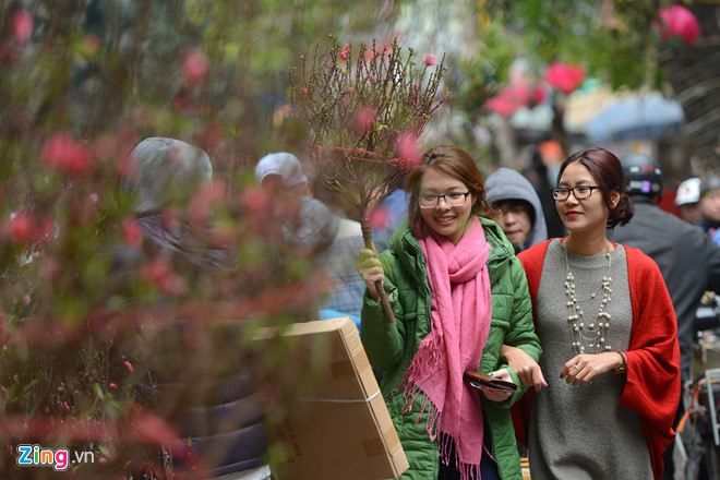Marché aux fleurs de Hang Luoc ou l’âme du printemps dans la vieille ville