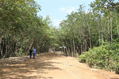 Hô Chi Minh-Ville vise 8,5 millions de touristes internationaux en 2019