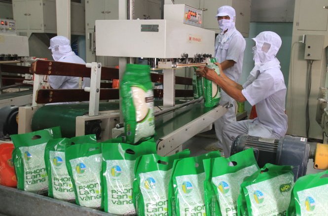 Hô Chi Minh-Ville La Vietnam PFA 2019 prévue en juillet