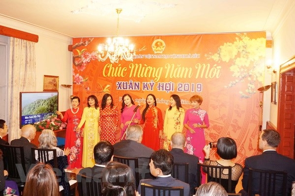 La communauté des Vietnamiens en R tchèque célèbre le Têt traditionnel du Cochon 2019