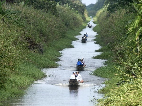 Site d écotourisme dans le parc national d U Minh Ha