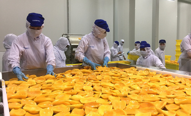 Hô Chi Minh-Ville les exportations s établissent à plus de 6 milliards de dollars en 2 mois