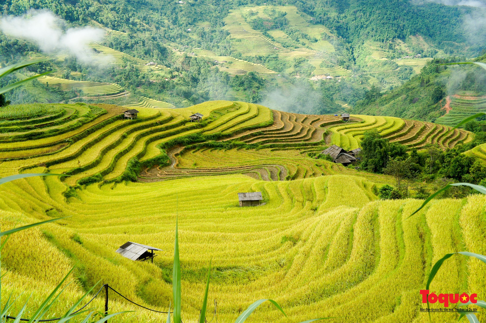 Le Vietnam parmi les destinations les plus impressionnantes