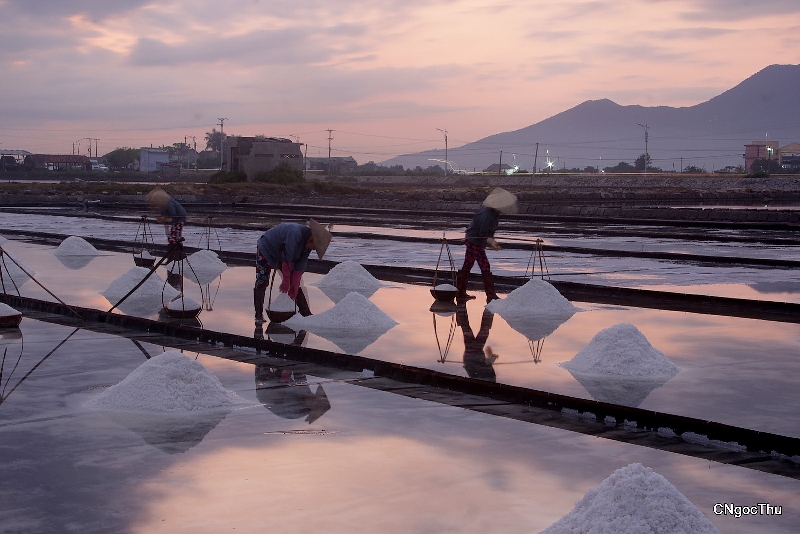 Marais salants de Hon Khoi