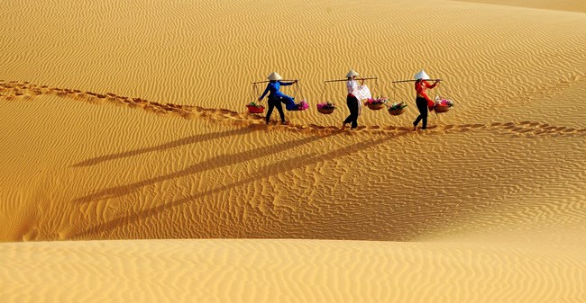 Pour un développement durable du tourisme à Binh Thuan