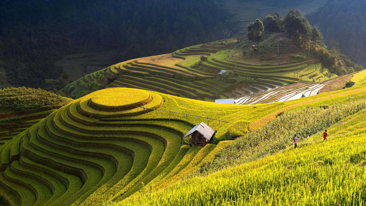 Mu Cang Chai parmi les destinations les plus colorées au monde