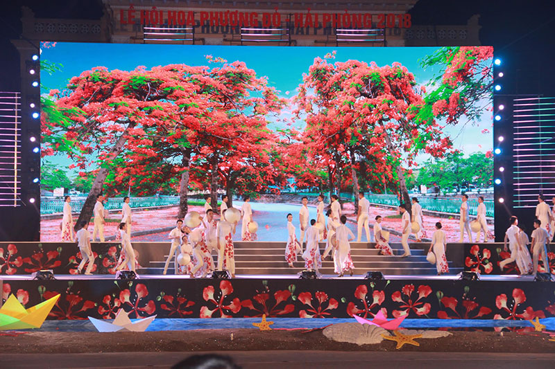 Hai Phong  préparatifs pour la Fête des fleurs de flamboyants rouges 2019