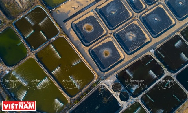 Dans le désert de Ninh Thuan