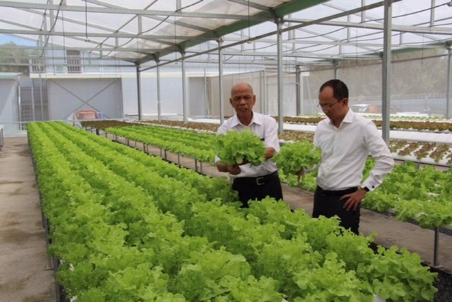Le premier Forum économique global pour les Vietnamiens d’outre-mer en R de Corée