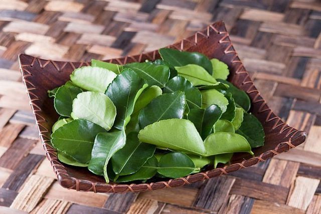 Amazon com Les feuilles de lime vietnamiennes vendues 6,3 millions de dongs kg