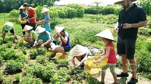 Promotion de l agrotourisme à Ho Chi Minh-Ville