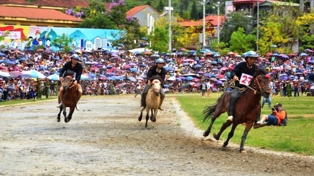 La course hippique de Bac Ha attire un très grand nombre de spectateurs