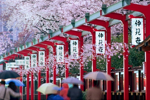 Le Vietnam en tête du tourisme entrant au Japon