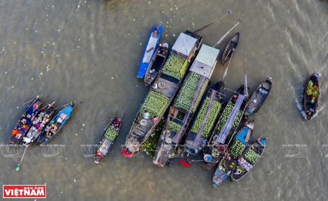 Bientôt le festival culturel du marché flottant de Cai Rang