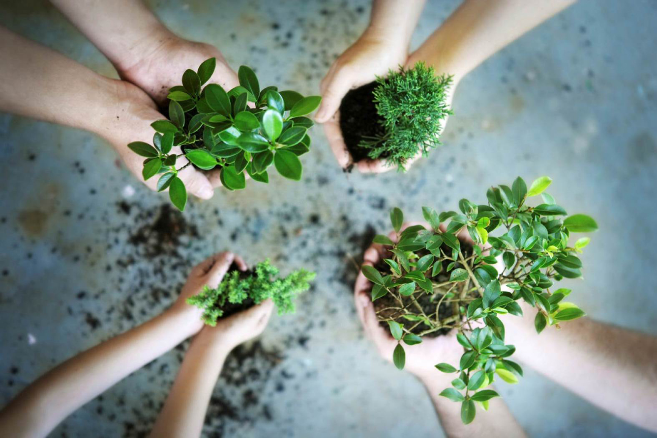 Go green-Tourisme vert pour l’environnement du tourisme