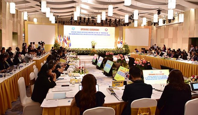 L’ASEAN+3 dynamise la coopération dans le secteur agro-sylvicole