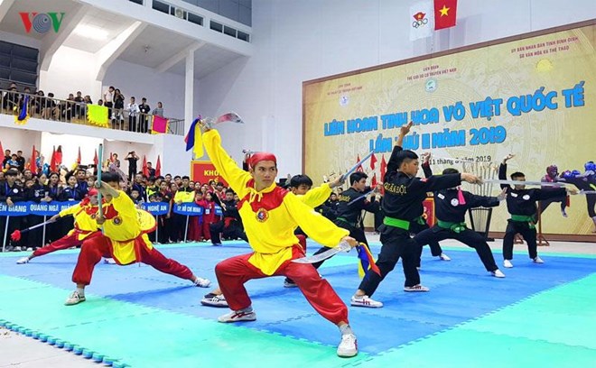 Le 2e Festival international des arts martiaux commence à Binh Dinh