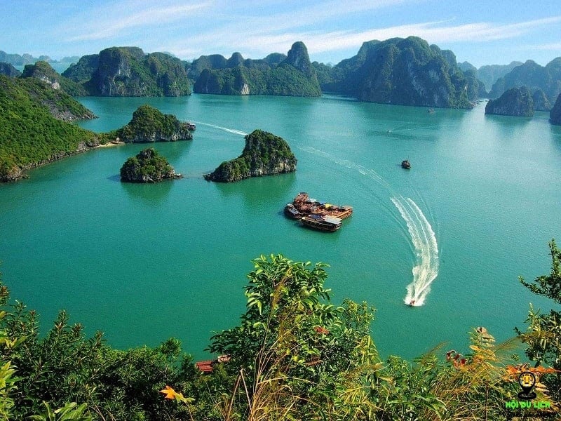 [Infographic] Les îles vietnamiennes préférées des touristes étrangers