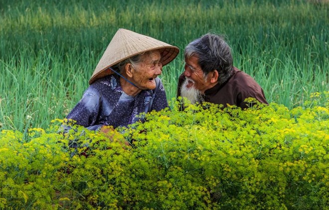 Une photo vietnamienne entre dans le top 50 du concours international  Love2019