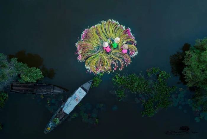 Le Vietnam vu du ciel dans un journal américain