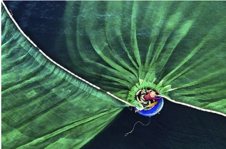 Un Vietnamien remporte le 1er prix du concours de photos Nature Conservancy