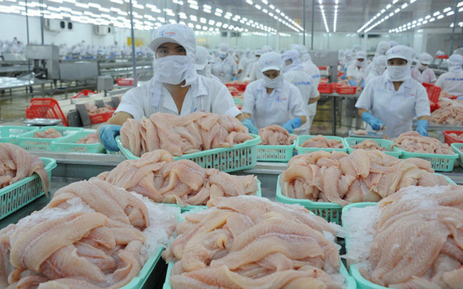 Hausse des exportations nationales de pangasius au Japon