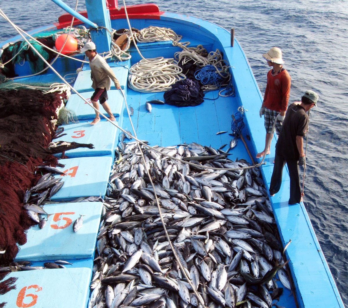 Pêche INN  Le Vietnam réalise efficacement les recommandations de l’UE