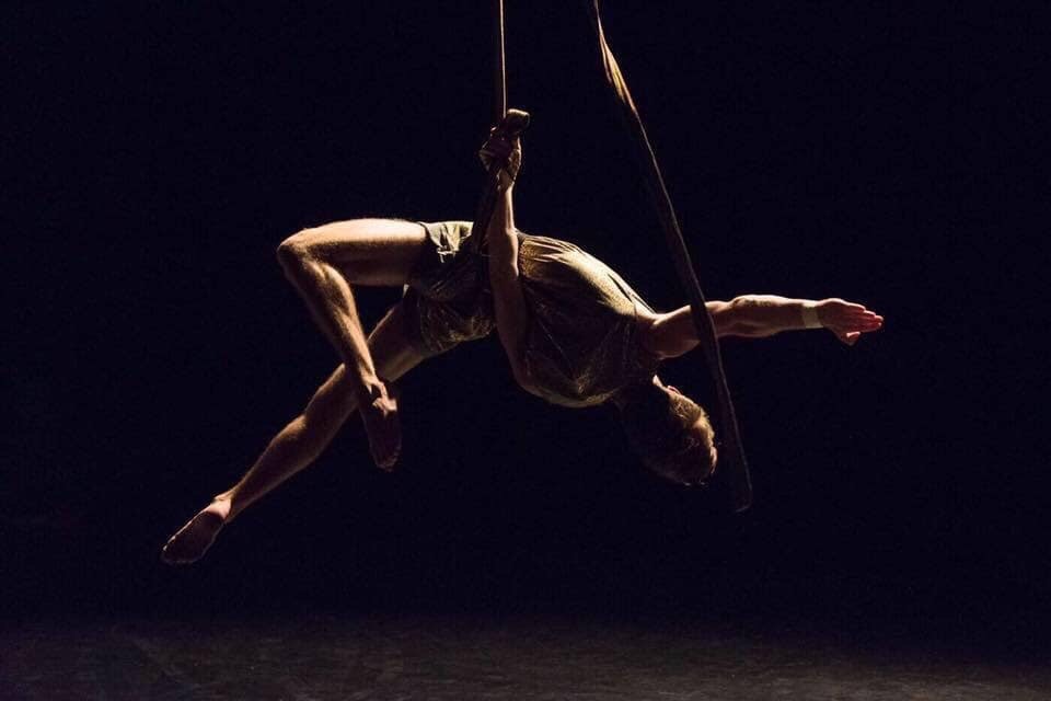 Hanoi accueillera un festival international du cirque en octobre