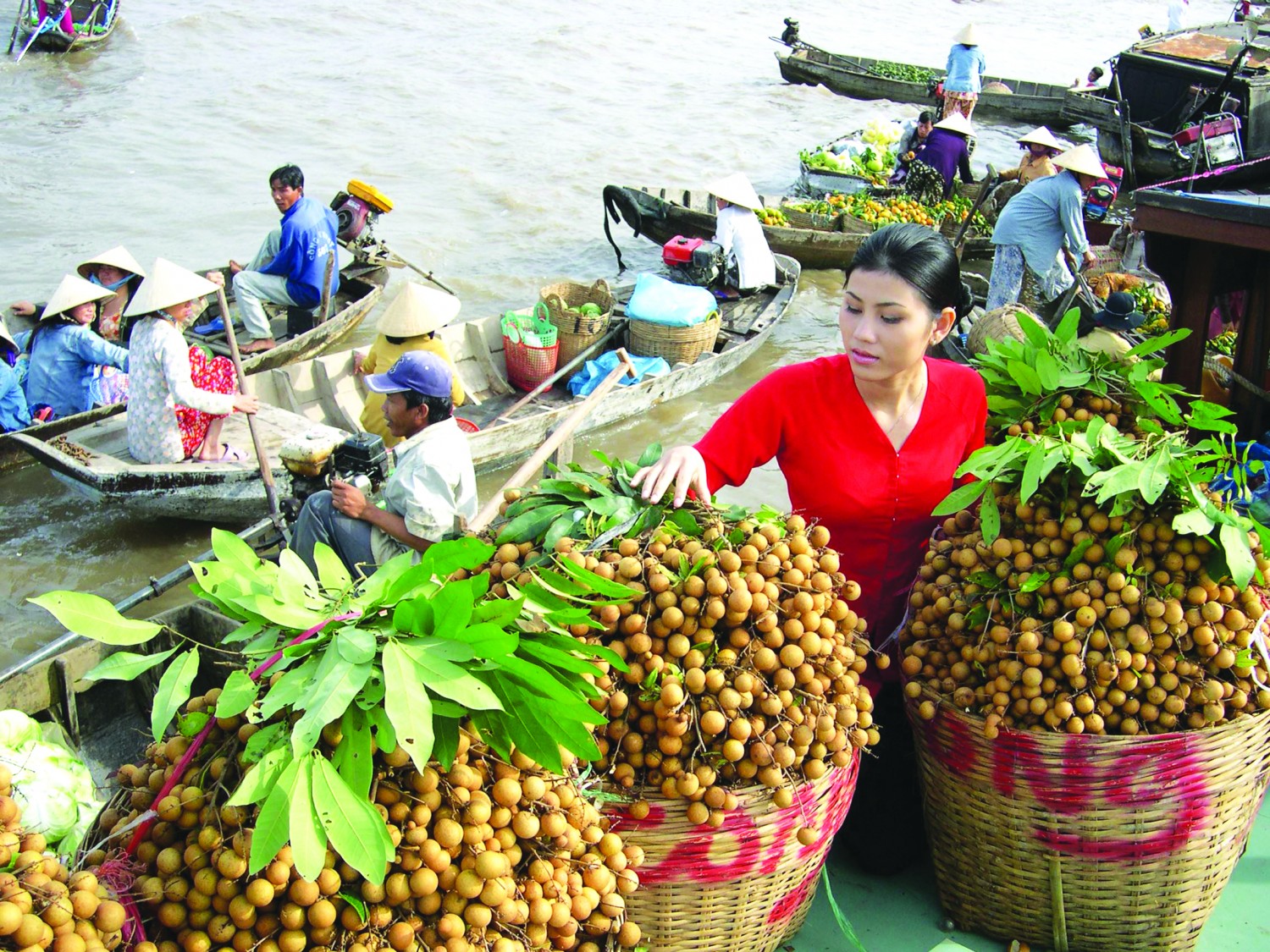 Exportations vietnamiennes de fruits et légumes en 9 mois