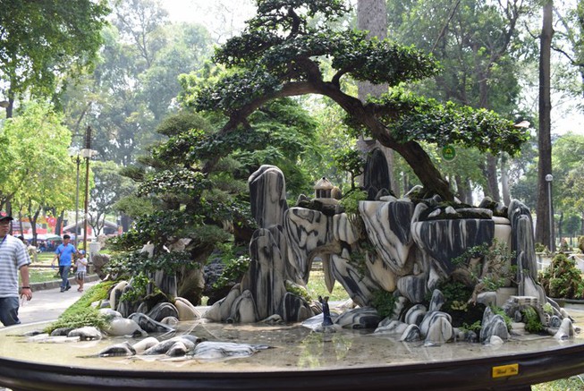 La fête de Bonsaï et de Suiseki d’Asie-Pacifique aura lieu pour la première fois au Vietnam