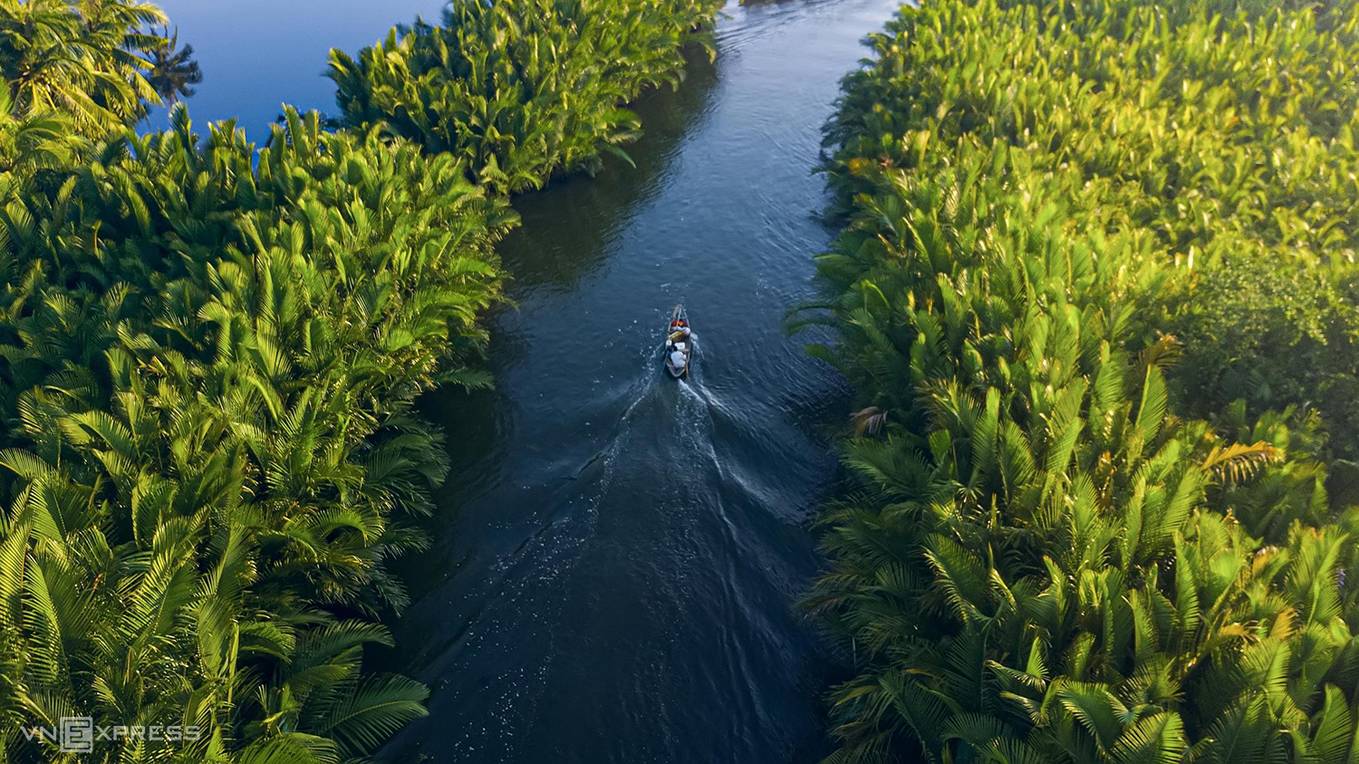 La forêt de cocotiers d’eau à la plage de My Khe