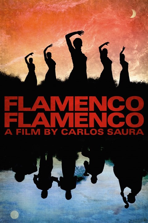 Un festival du film espagnol débute à Huê