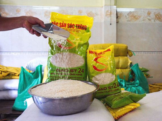 Le riz vietnamien ST24 reconnu Meilleur riz du monde en 2019