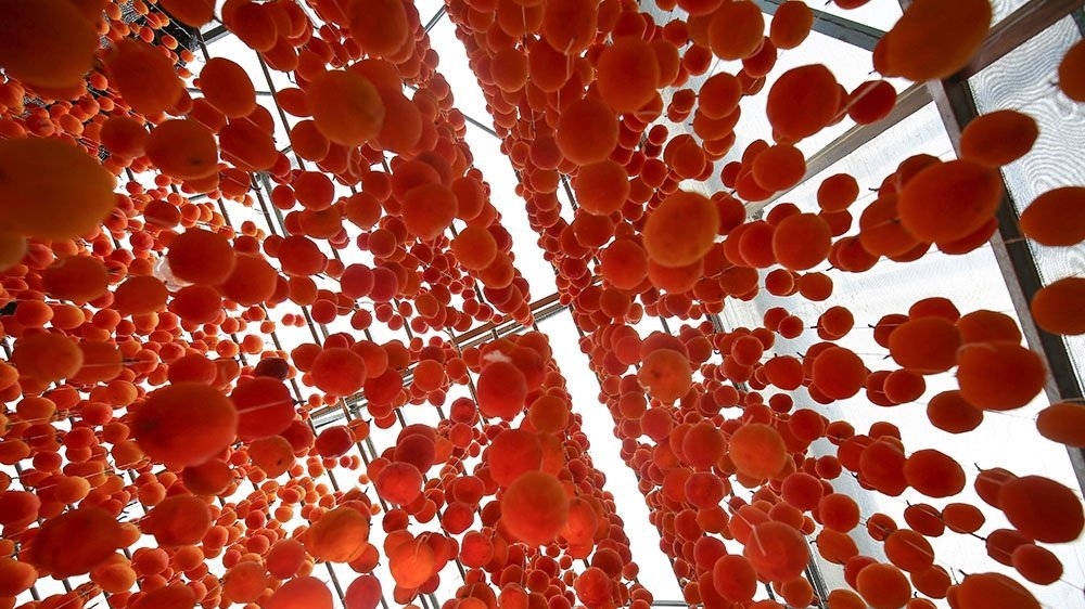 La fabrication de kakis séchés à Da Lat