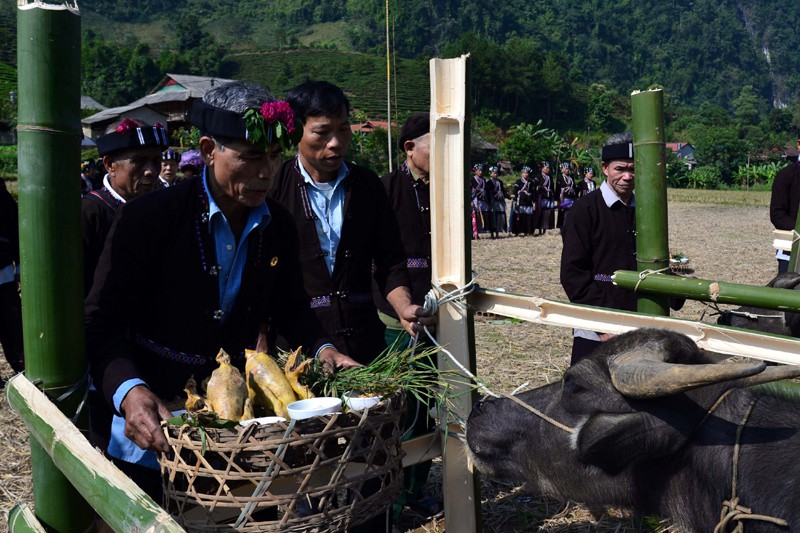 L’originalité du culte du buffle de l’ethnie Lự à Lai Châu