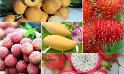 Fruits et légumes 5 milliards de dollars d’exportation prévus en 2020