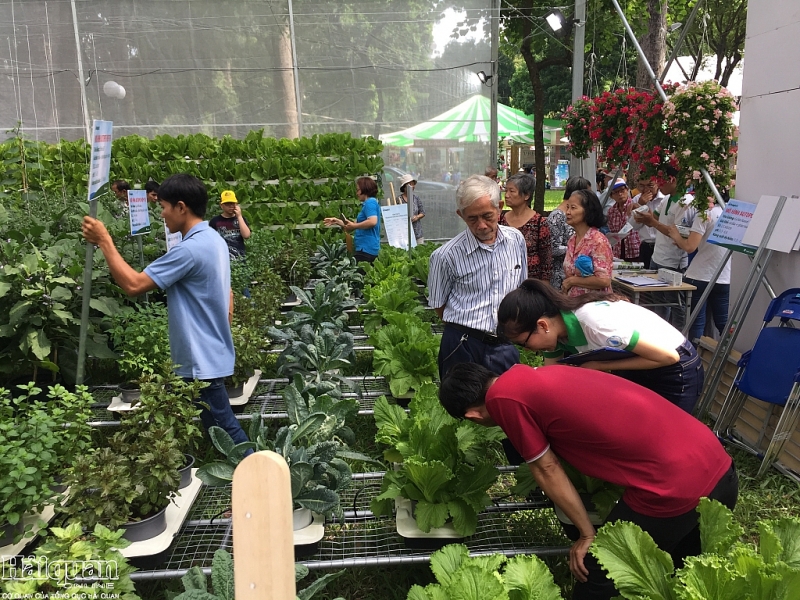 HCM-V forte croissance de la valeur de production agricole en 2019