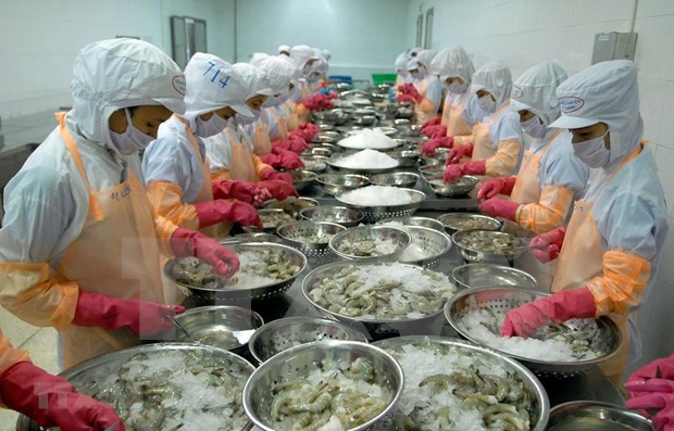 Les exportations de produits aquatiques en 2019 laissent à désirer