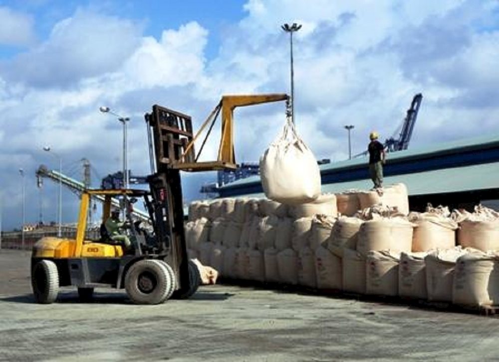 Exportation de 34 millions de tonnes de ciment et de clinker en 2019