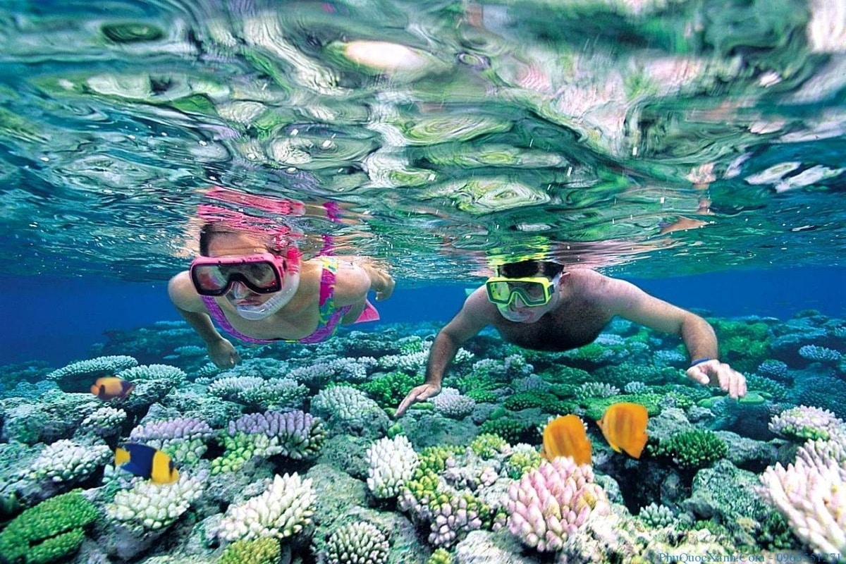 Plongée sous-marine Khanh Hoa parmi les destinations idéales dans le monde